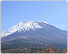 「富士山の森づくり」経過報告