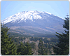 2011年度 富士山の森づくりについて
