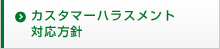 �J�X�^�}�[�n���X�����g�Ή����j